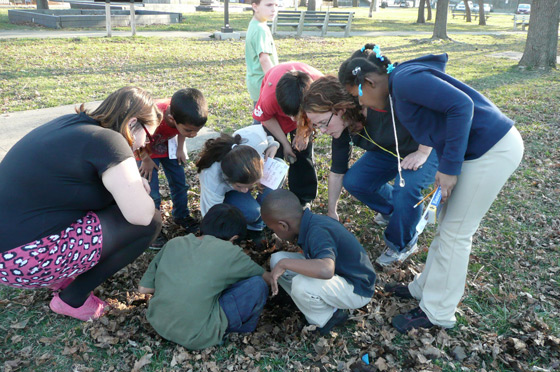 Naturalist, Paula Jordan, helps us understand what we find outdoors.